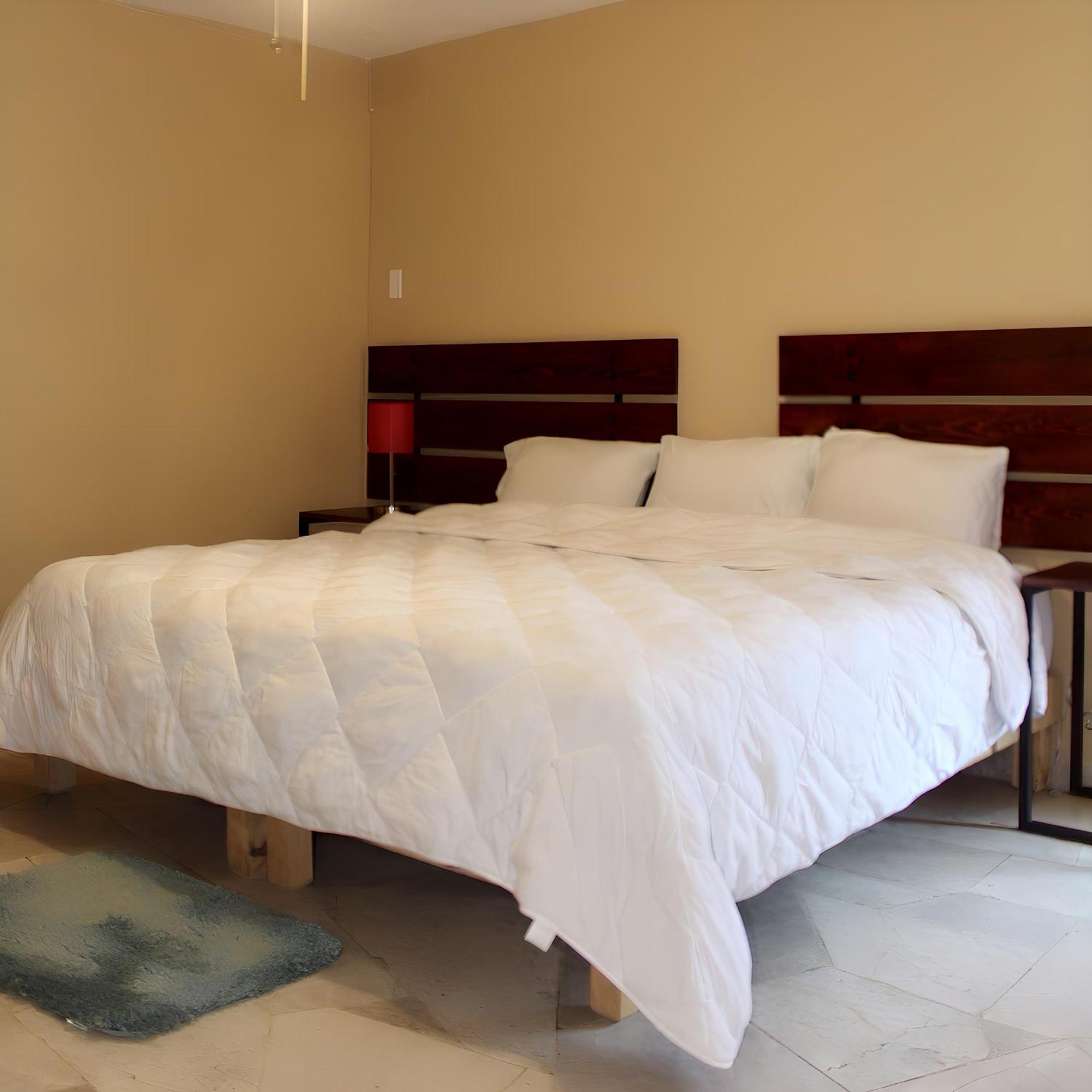 Hotel Camino De Allende Σαν Μιγκέλ ντε Αγιέντε Εξωτερικό φωτογραφία